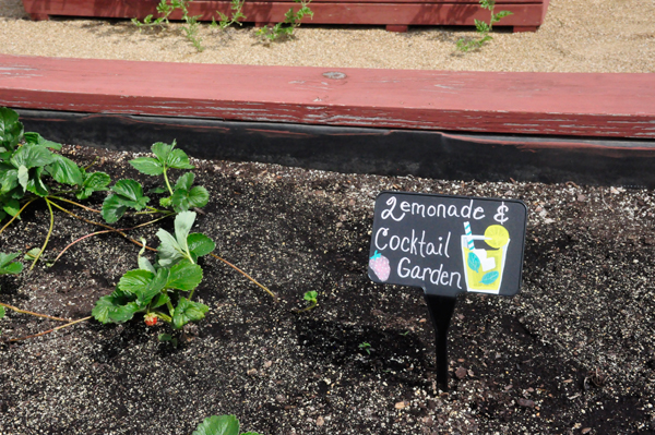 Cocktail Garden at Dawes Arboretum 